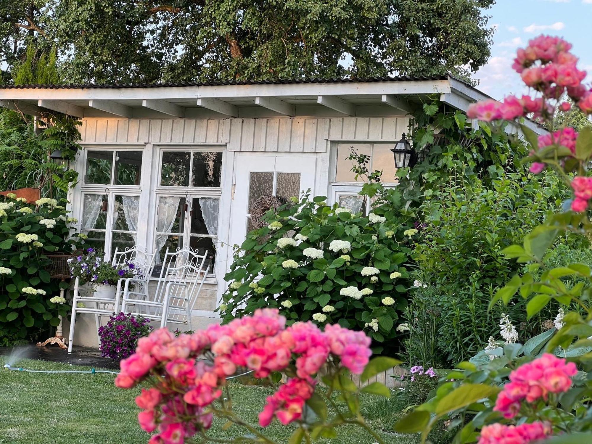 Cafe Canape Apartment, Wohlfuehlen Zwischen & Bodensee *