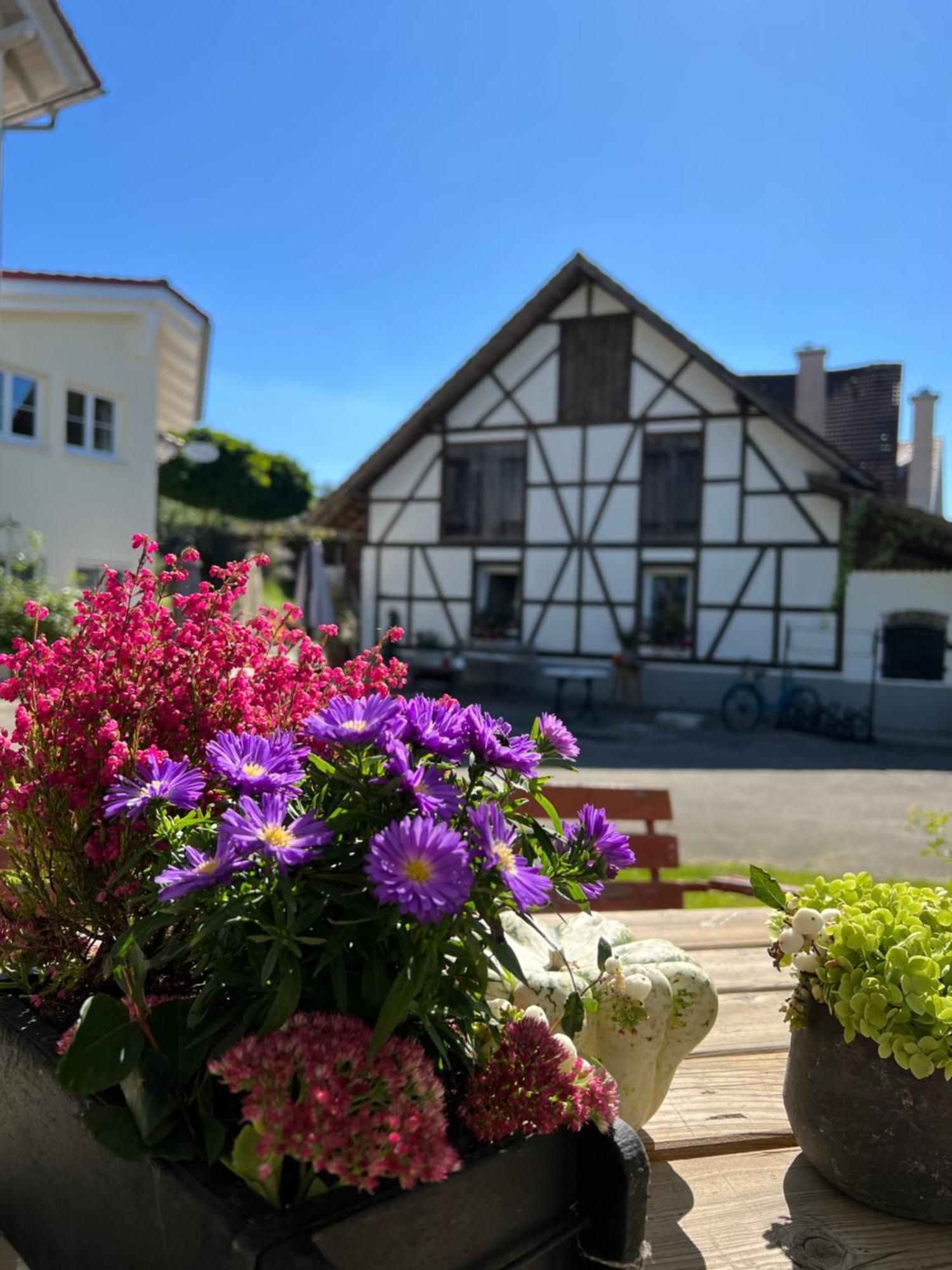 Cafe Canape Apartment, Wohlfuehlen Zwischen & Bodensee *